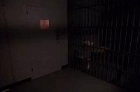 season 1 GIF by Twin Peaks on Showtime