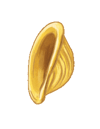 Pasta Orecchiette Sticker by Bianca Bosso