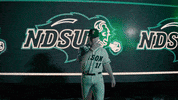 Ndsu Baseball GIF by NDSU Athletics