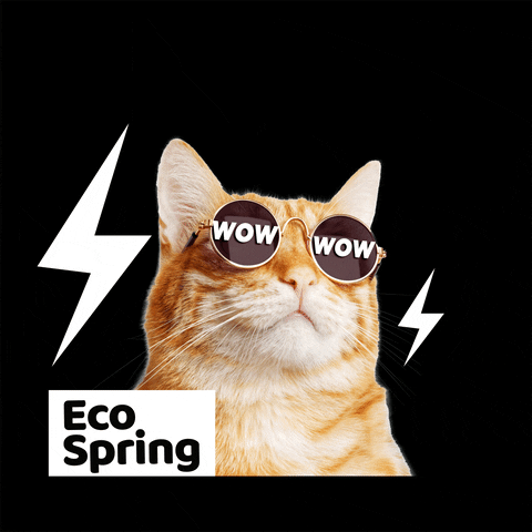Cat Wow GIF by Eco Spring  at Iskandar Malaysia