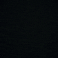 Assustado Escondido GIF by Pedro Sobral