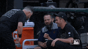 Major League Baseball Sport GIF by MLB