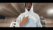 Panda GIF by Protect