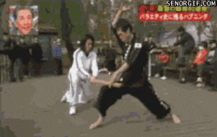 kung fu GIF by Cheezburger