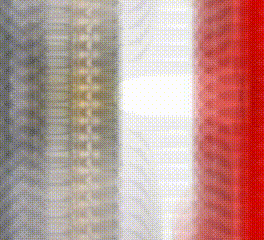 Penguin Bandar GIF