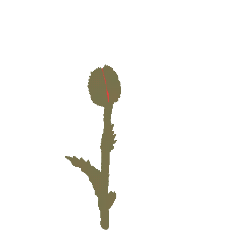 Kitcutstudio giphyupload flower bloom poppy Sticker