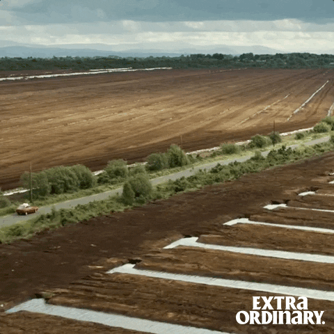 Extra Ordinary Movie GIF by Wildcard Distribution