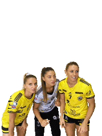 HBPLANDECUQUES handball pdc hbpc guerrieres Sticker