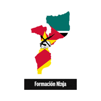Flag Bandera Sticker by Formación Ninja
