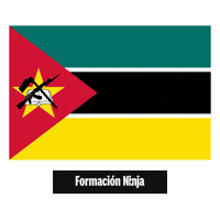 Flag Pixel Art Sticker by Formación Ninja