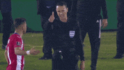 Albirroja Nande GIF by Pilsen Paraguay