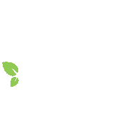 Eyebrow Brow Artist Sticker by browxenna