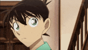 Shinichikudo GIF