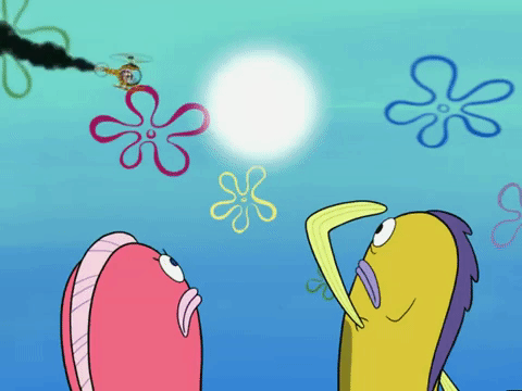 season 6 GIF by SpongeBob SquarePants