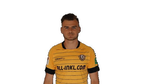 Goal Celebrate Sticker by SG Dynamo Dresden