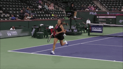 Kasatkina GIF