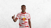 I Dont Like No GIF by RB Leipzig