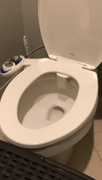 Man Tests out new Bidet, Gets More Than He Bargained for