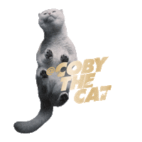 Licking Cat Food Sticker by Sheba Official