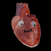 Nanographics love heart 3d health GIF