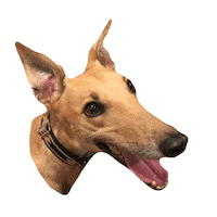 I Love You Hearts Sticker