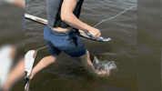 Water Sports Usa GIF