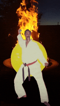 Brooklyn Dojo Master