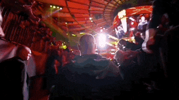 Mixed Martial Arts Sport GIF by UFC