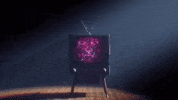 kaceymusgraves kacey musgraves oh what a world GIF