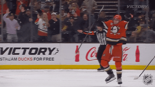 Happy Anaheim Ducks GIF by NHL