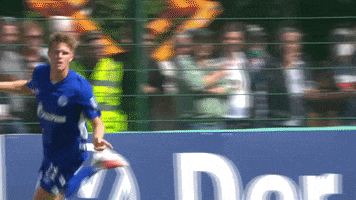 Soccer Goal GIF by FC Schalke 04