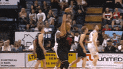 illawarra hawks GIF by NBL