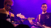 Gulfer GIF by Topshelf Records