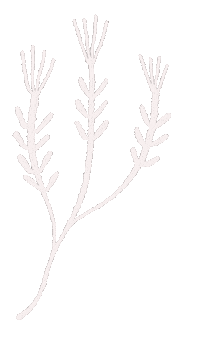 Flower Jenay Sticker