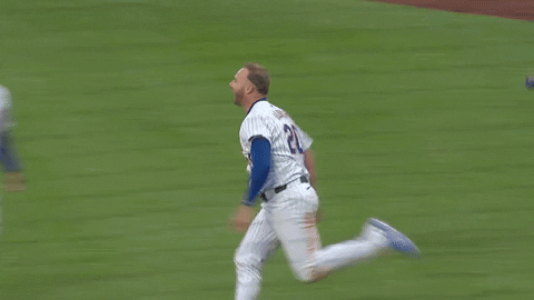 Happy New York GIF by MLB
