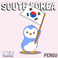 South Korea Penguin GIF by Pudgy Penguins