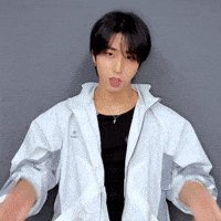 Stray Kids Love GIF