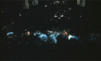 martin milner girl GIF