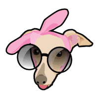 Italian Greyhound Portrait Sticker by Neat Pets Mementos