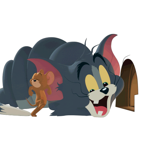 warnerbrosukandireland giphyupload tom and jerry warner bros tom jerry Sticker
