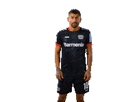 Bayer 04 Werkself Sticker by Bayer 04 Leverkusen