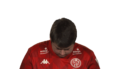 Happy 1 Fsv Mainz 05 Sticker by Bundesliga