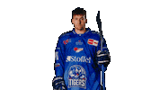 Fleischer Sticker by Straubing Tigers