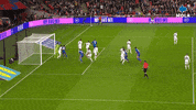 World Cup Reaction GIF by MolaTV