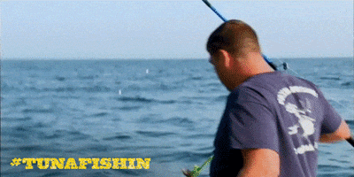 wicked tuna fishing GIF by National Geographic Channel