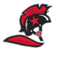 KcRollerWarriors kc kansas city roller derby roller skating Sticker