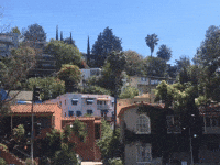 justin cinemagraph silver lake silverlake GIF