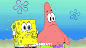 season 9 episode 3 GIF by SpongeBob SquarePants