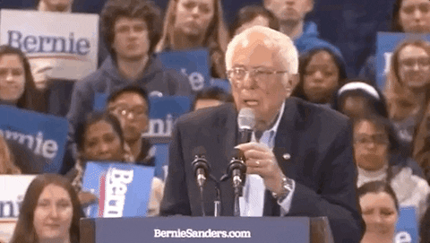 Bernie Sanders Rally GIF