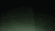 sasquatch GIF by Ice Cube